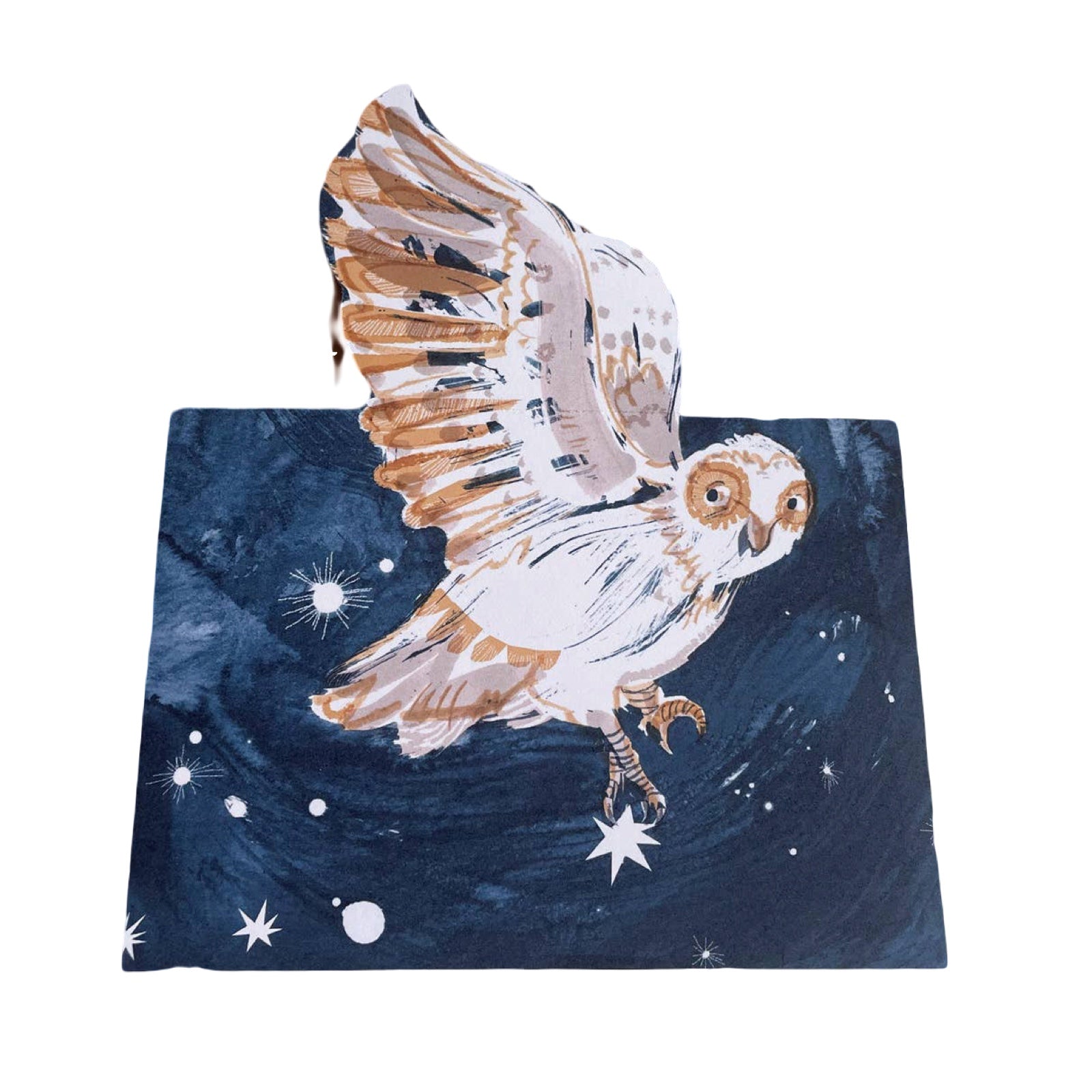 Night Owl Christmas Card