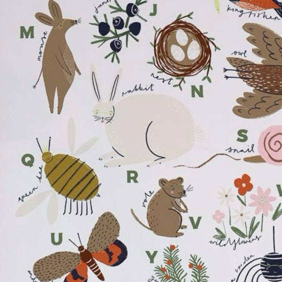 Woodland Alphabet Print