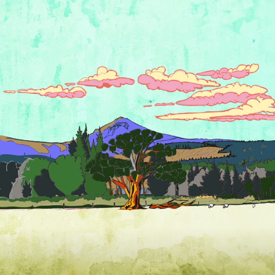 Square card featuring an illustration of an oak tree with the Goatfell peak in Brodick, Isle of Arran, Scotland.