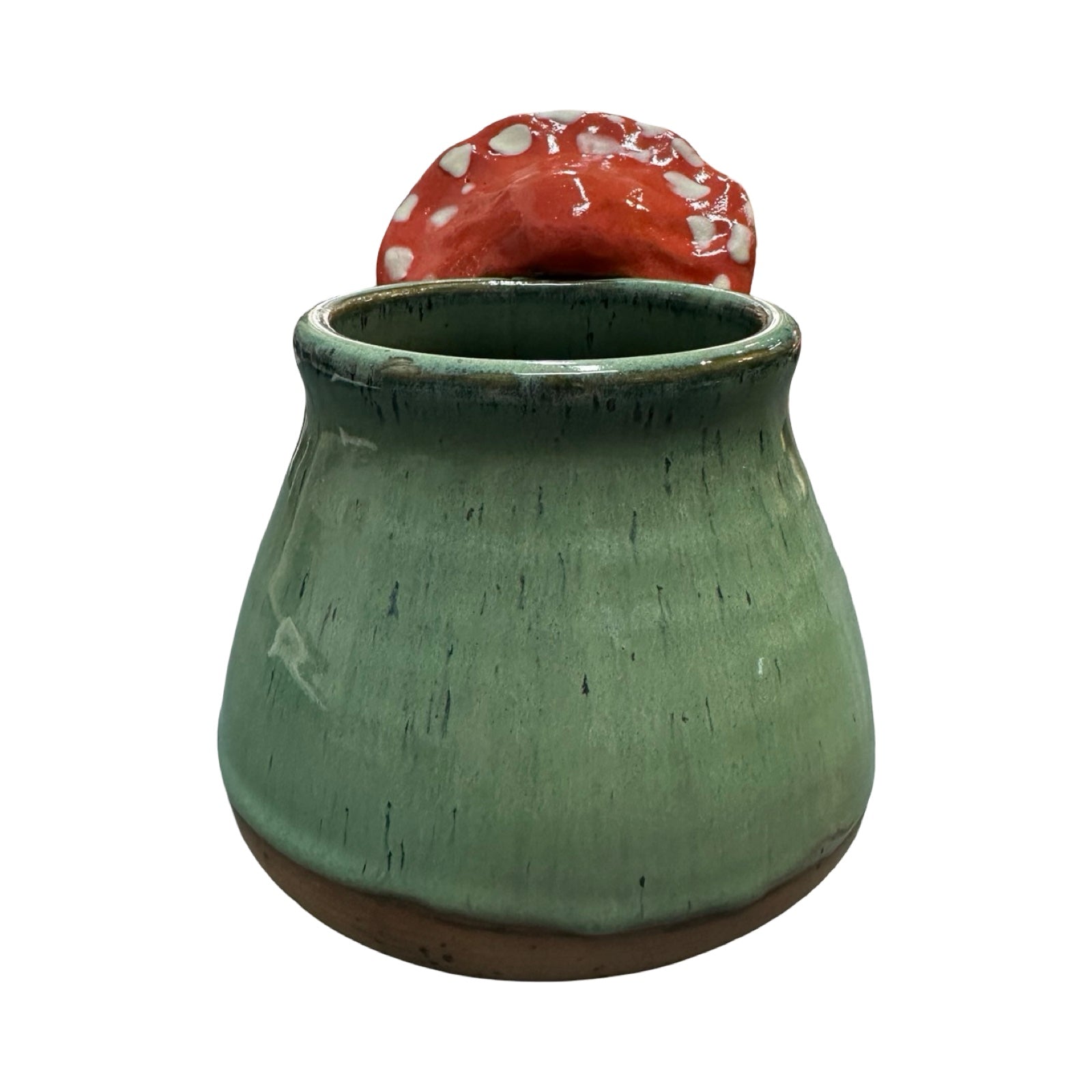 Kiwi Mushroom Mug