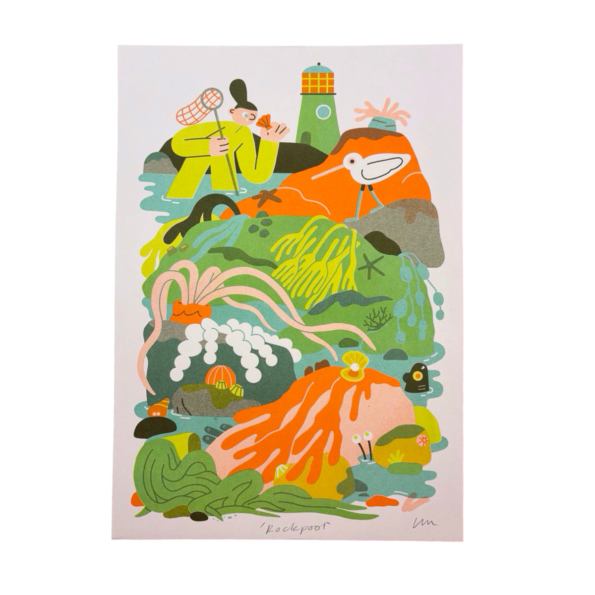 Rockpool Print