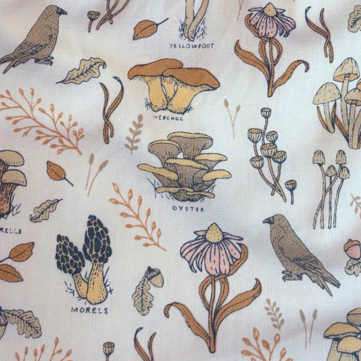 Fungi Foraging Original Bib
