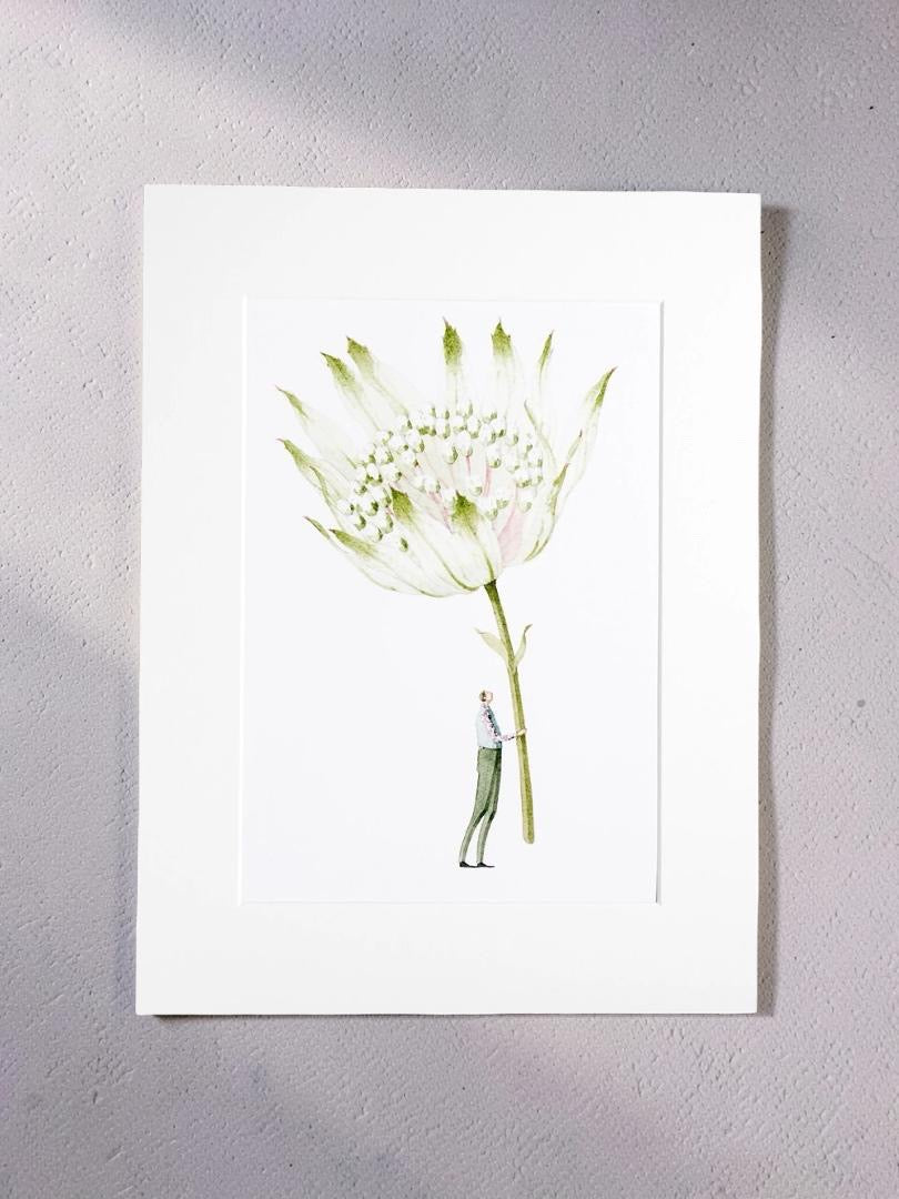 Floral print of a gorgeous giant astrantia flower being held by a man dressed in long green trousers and a pink shirt, on a grey background.