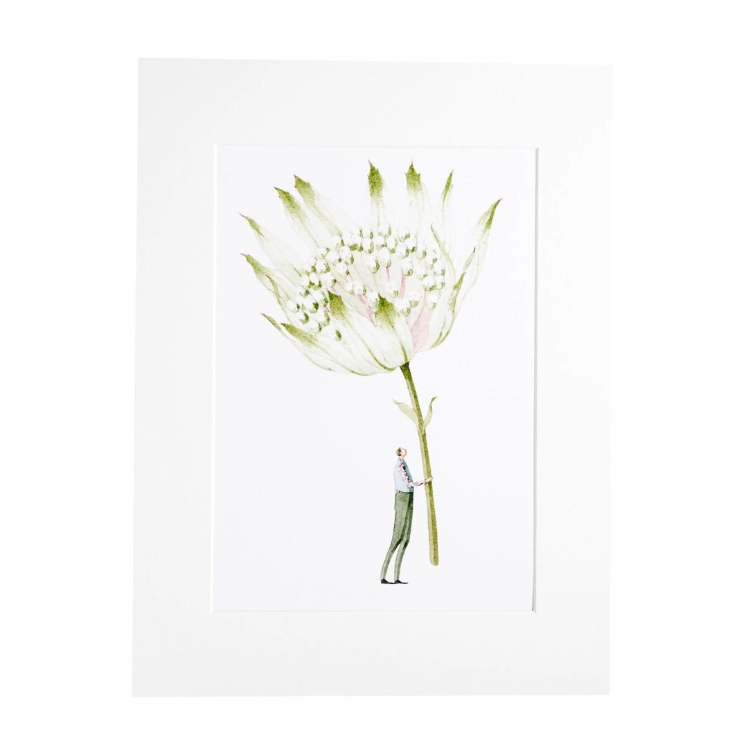 Floral print of a gorgeous giant astrantia flower being held by a man dressed in long green trousers and a pink shirt.