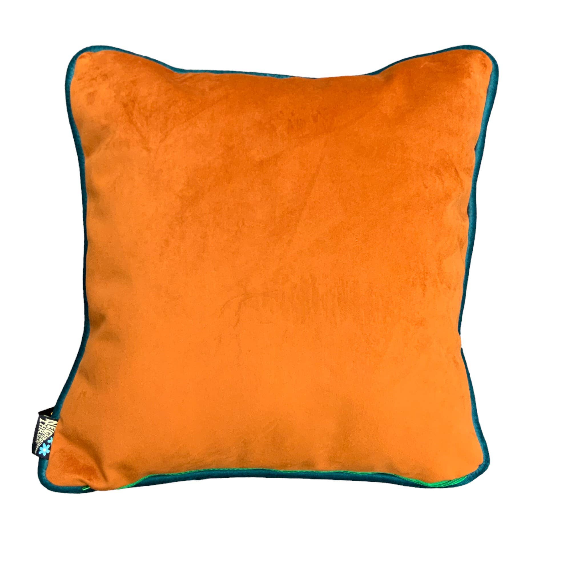 Back of Andy the cat cushion, orange velvet.