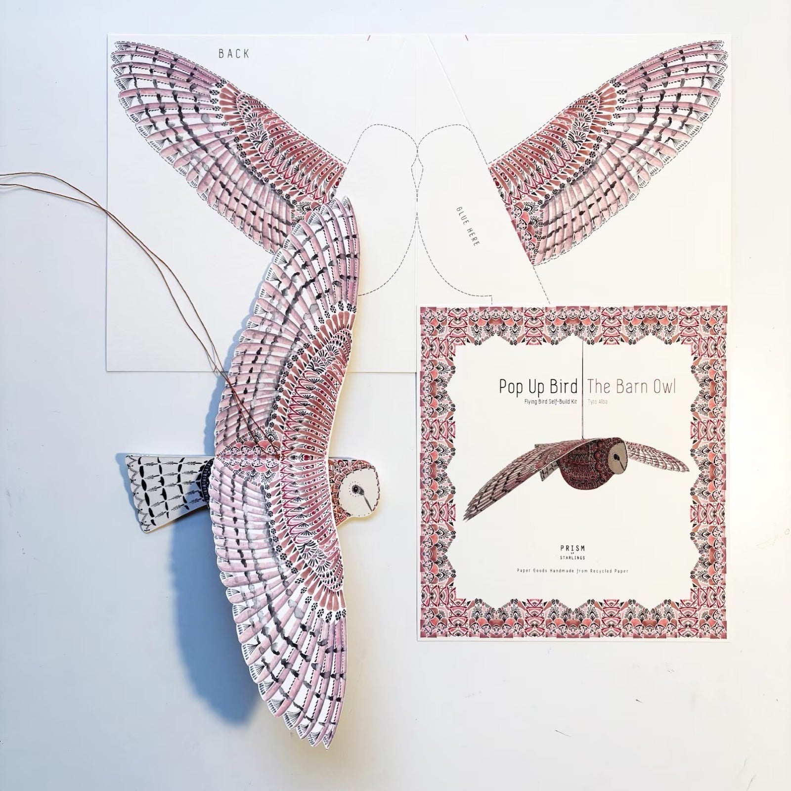 Pop-up bird model kit with packaging on a white background.