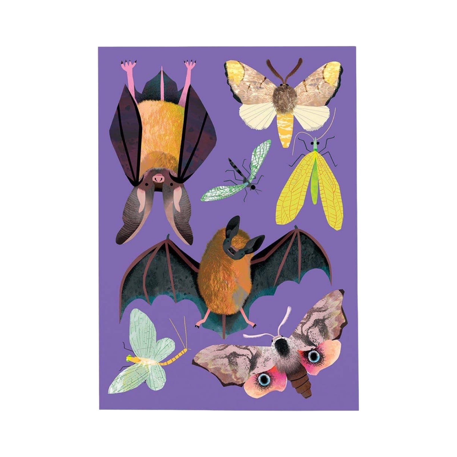 Illustrations of bats and moths on a purple postcard.