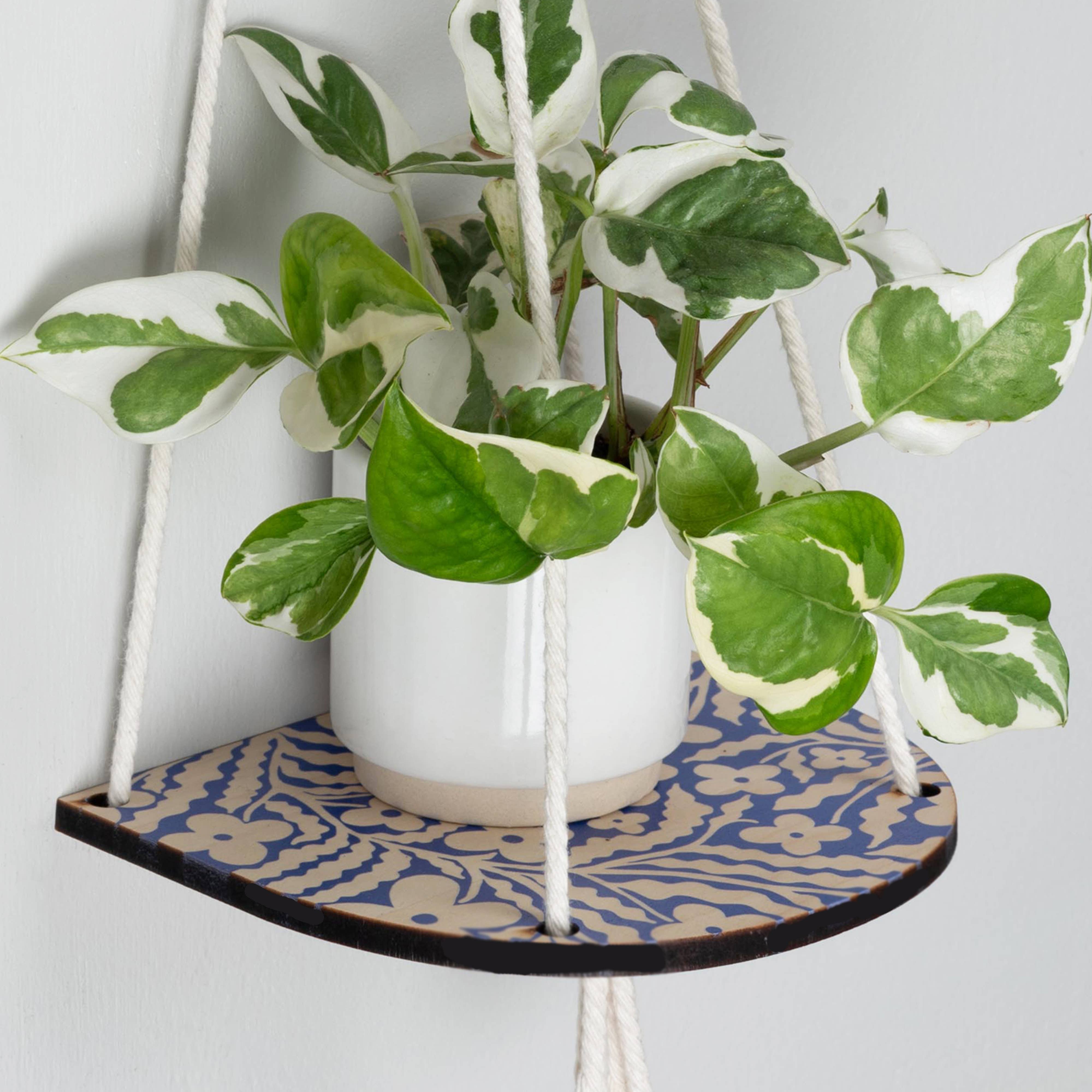 Hanging plant with a white pot on a decorative shelf against a light background.
