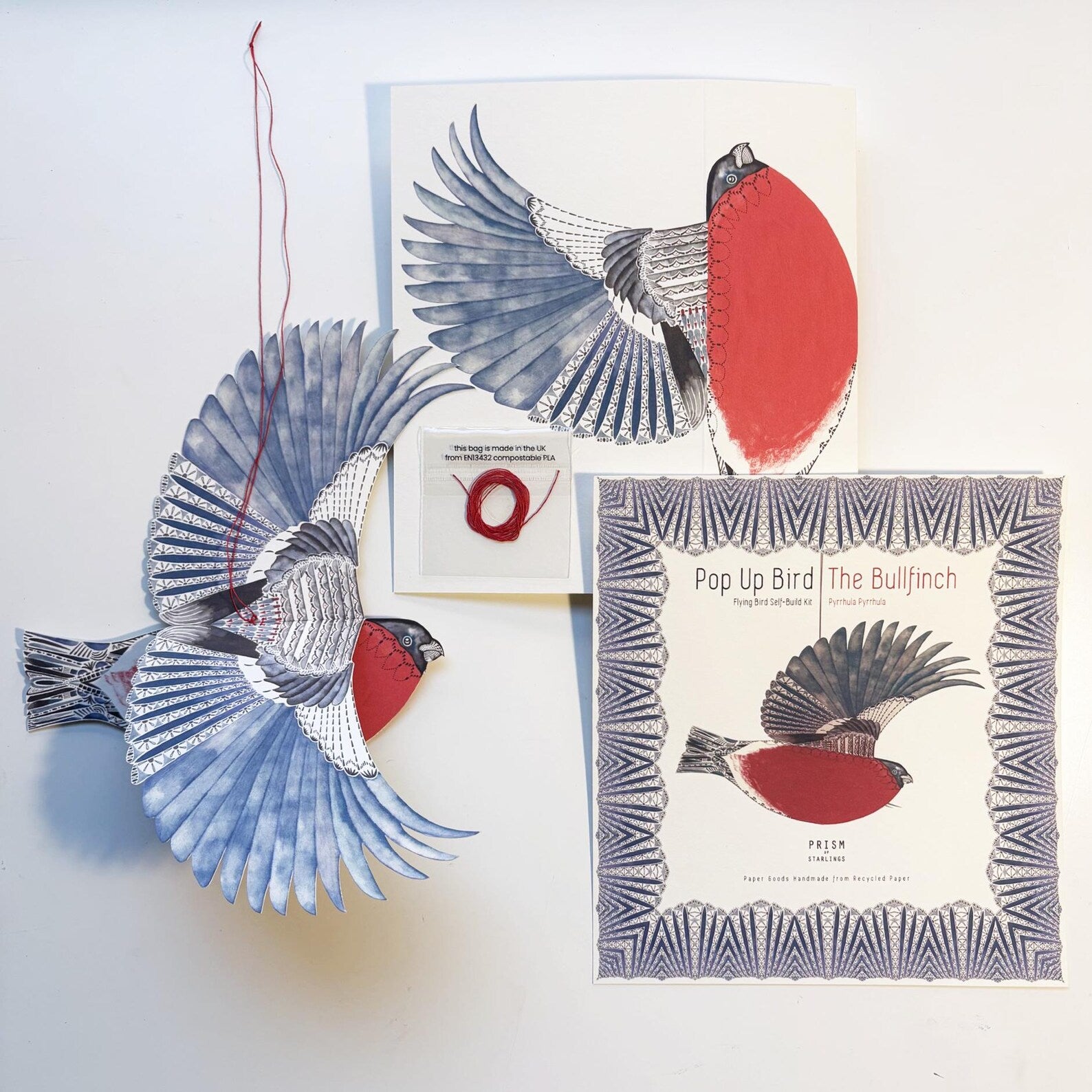 Pop-up bird book with red and blue design on a white background.