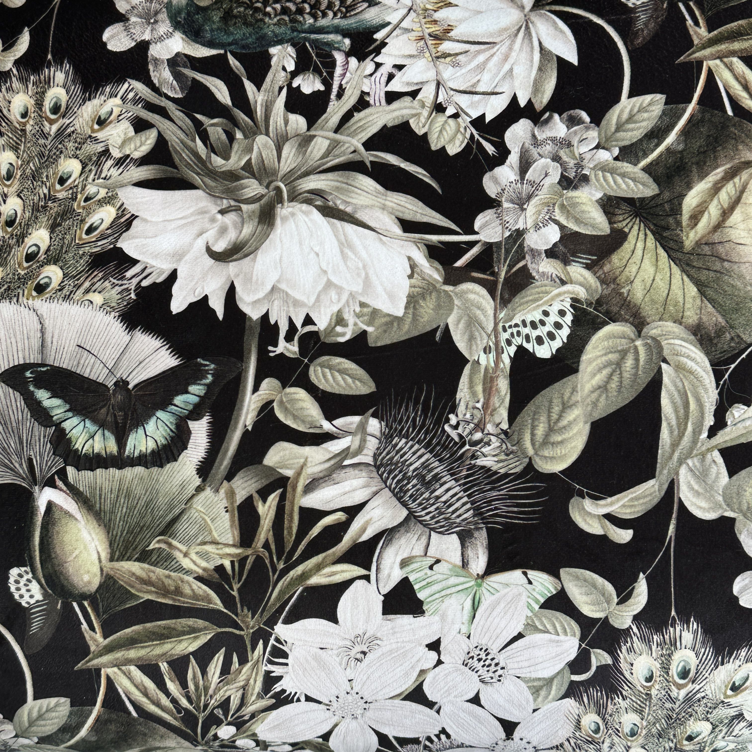 Detailed botanical illustration with flowers, leaves, and butterflies on a black background.
