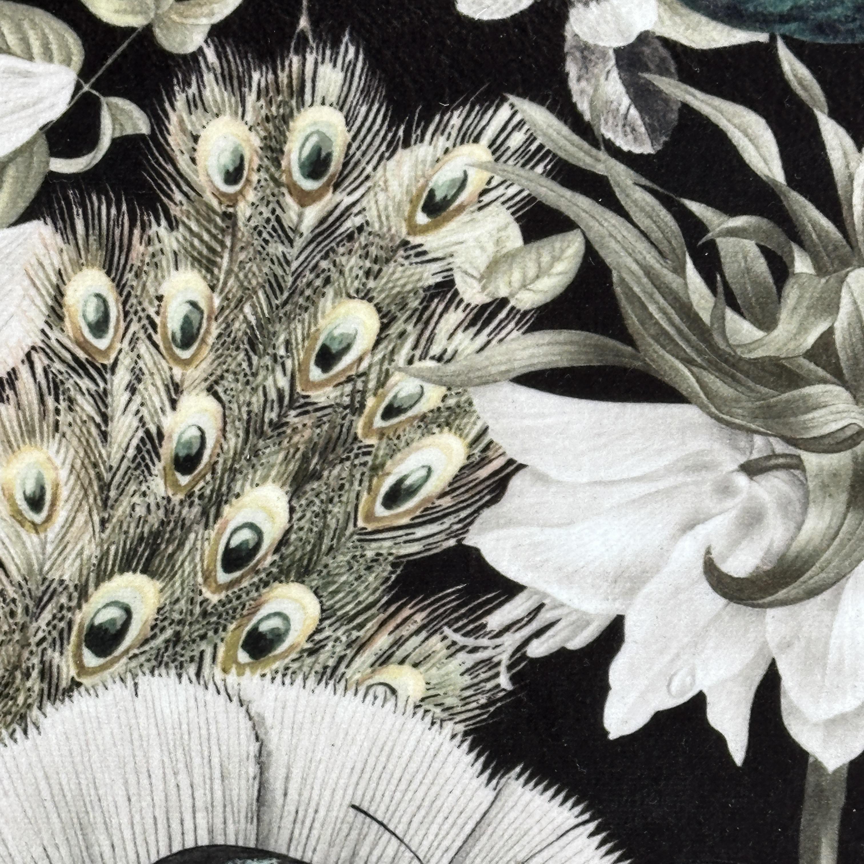 Close-up of peacock feathers and flowers on a black background.
