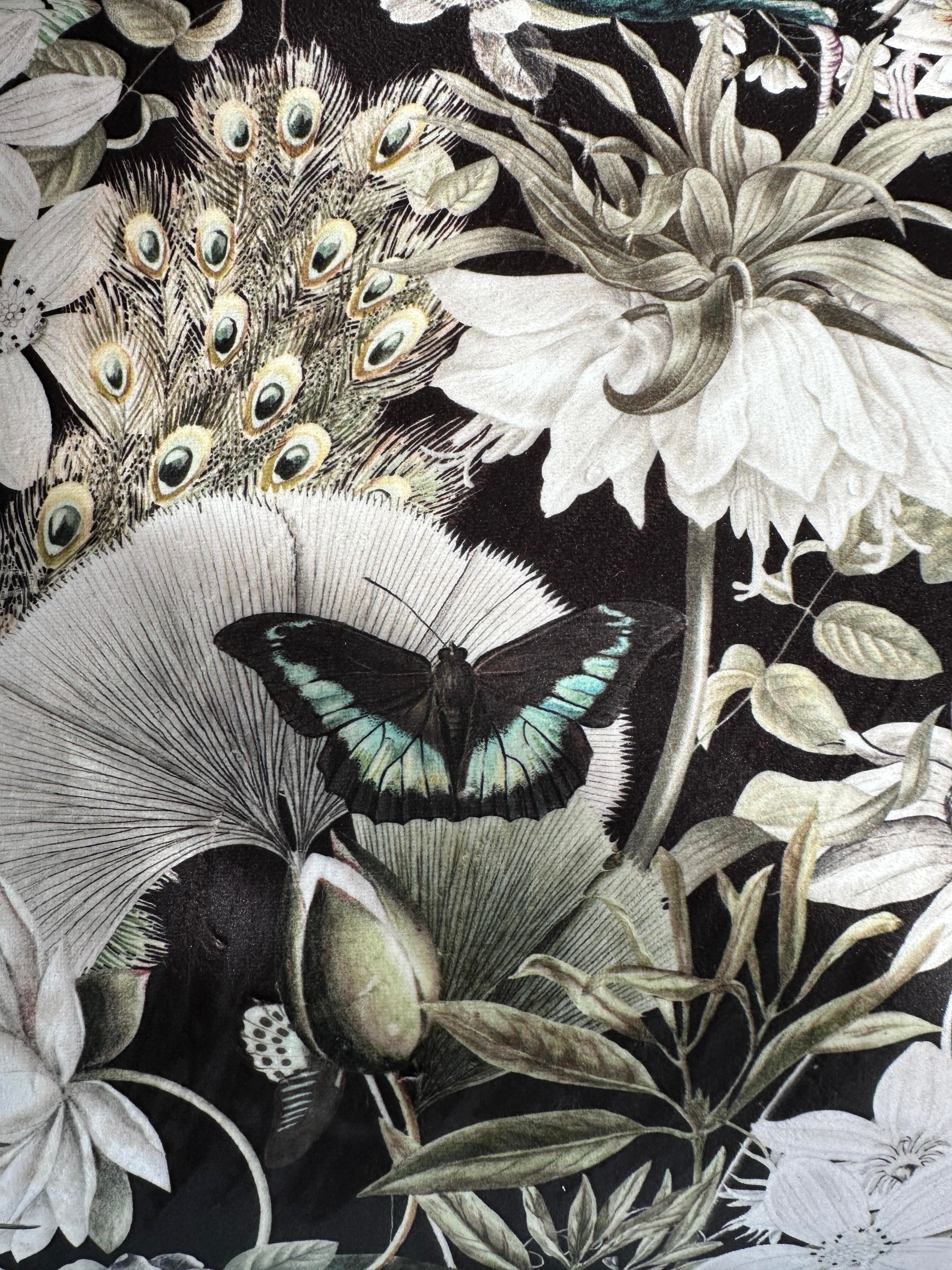 Illustration of peacock feathers, butterfly, and floral elements on a black background.