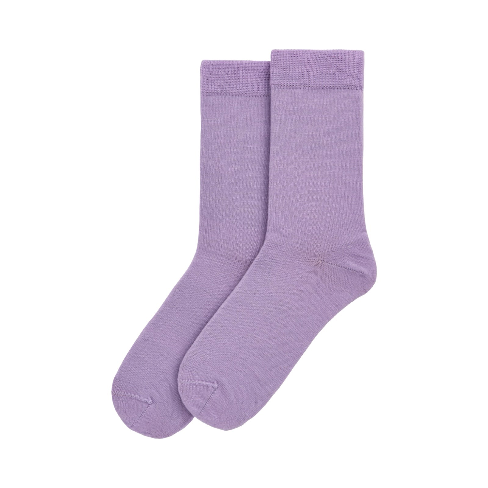 Parma Violet Merino Socks