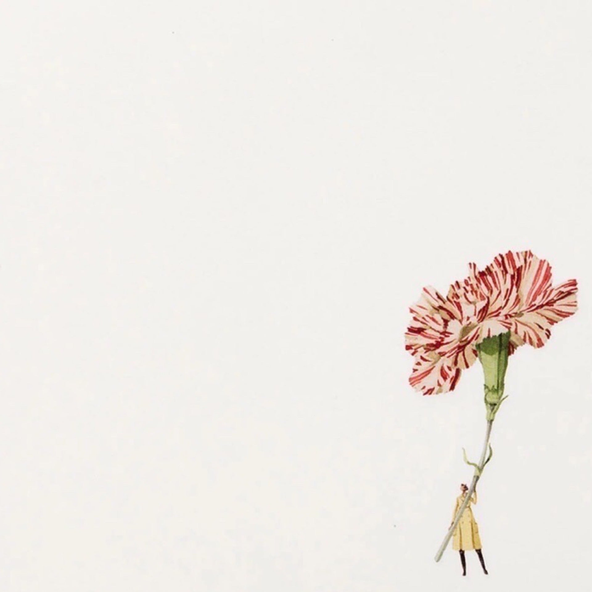 To Do List pad featuring an illustration in the bottom corner of a lady holding a giant red and white carnation.