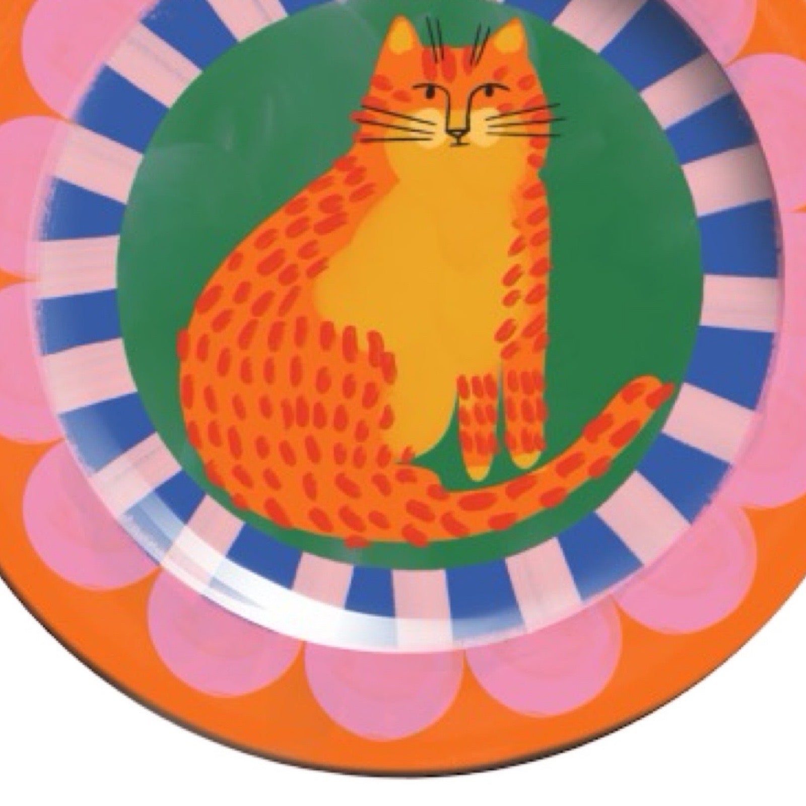 Colourful plate with a cat design on an multicoloured background.