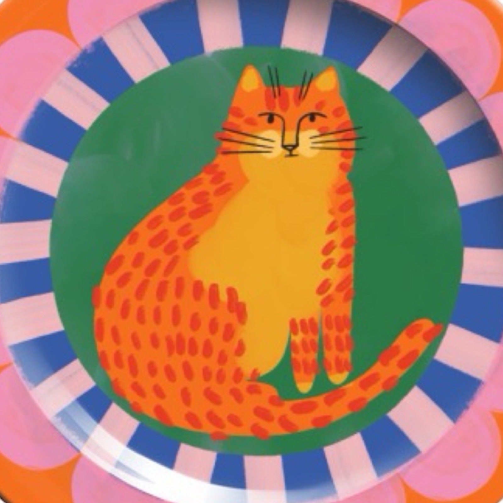 Colourful plate with a cat design on an multicoloured background.