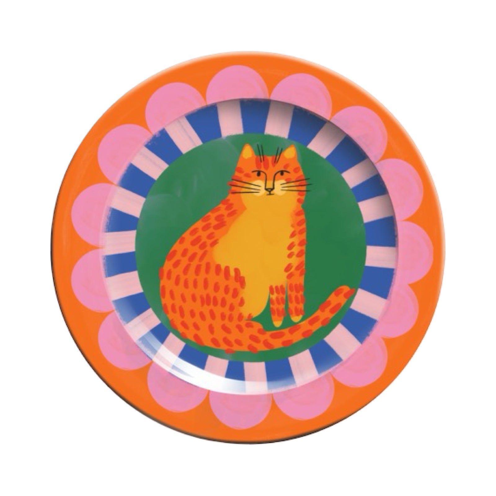 Colourful plate with a cat design on an multicoloured background.