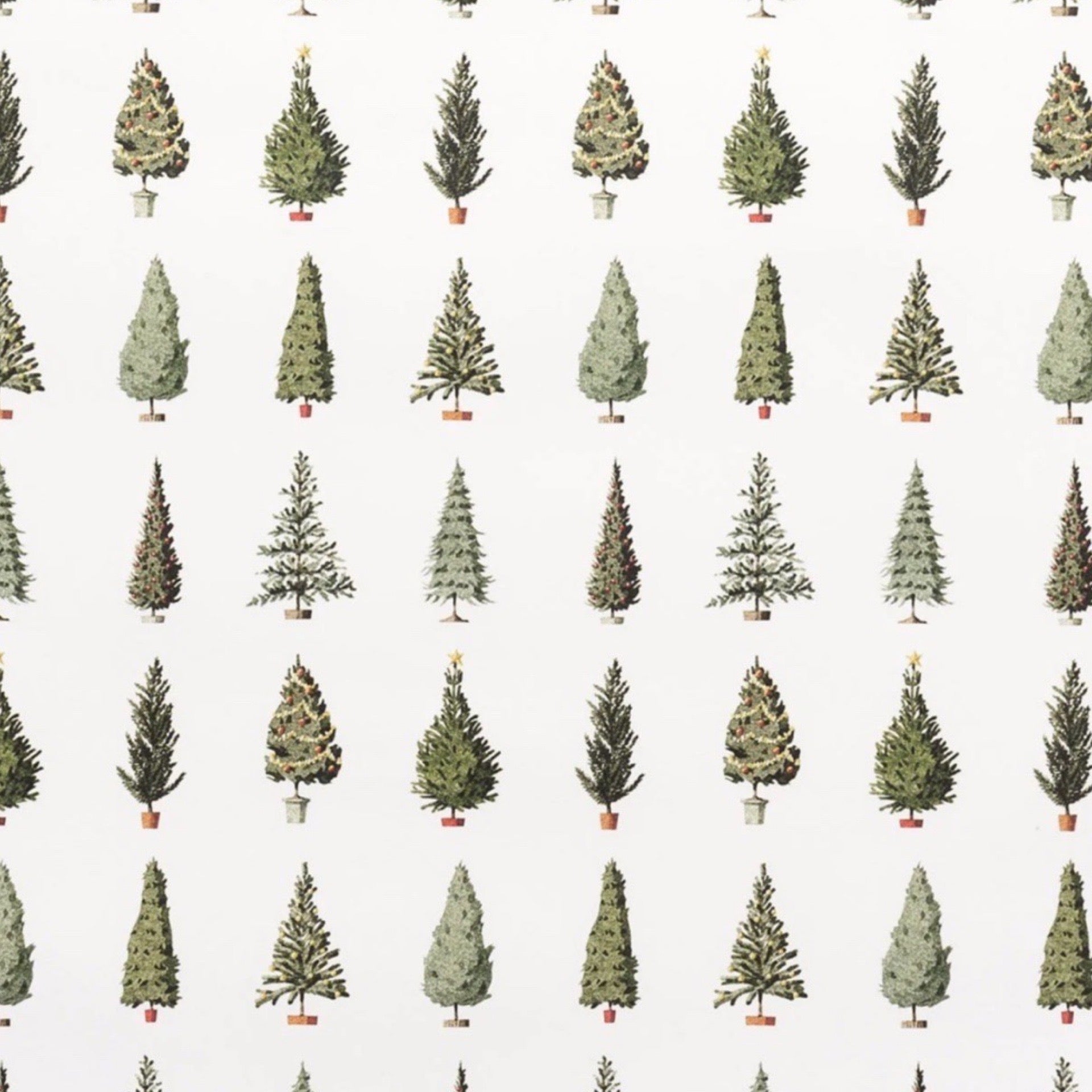 Pattern of small Christmas trees on a white background.