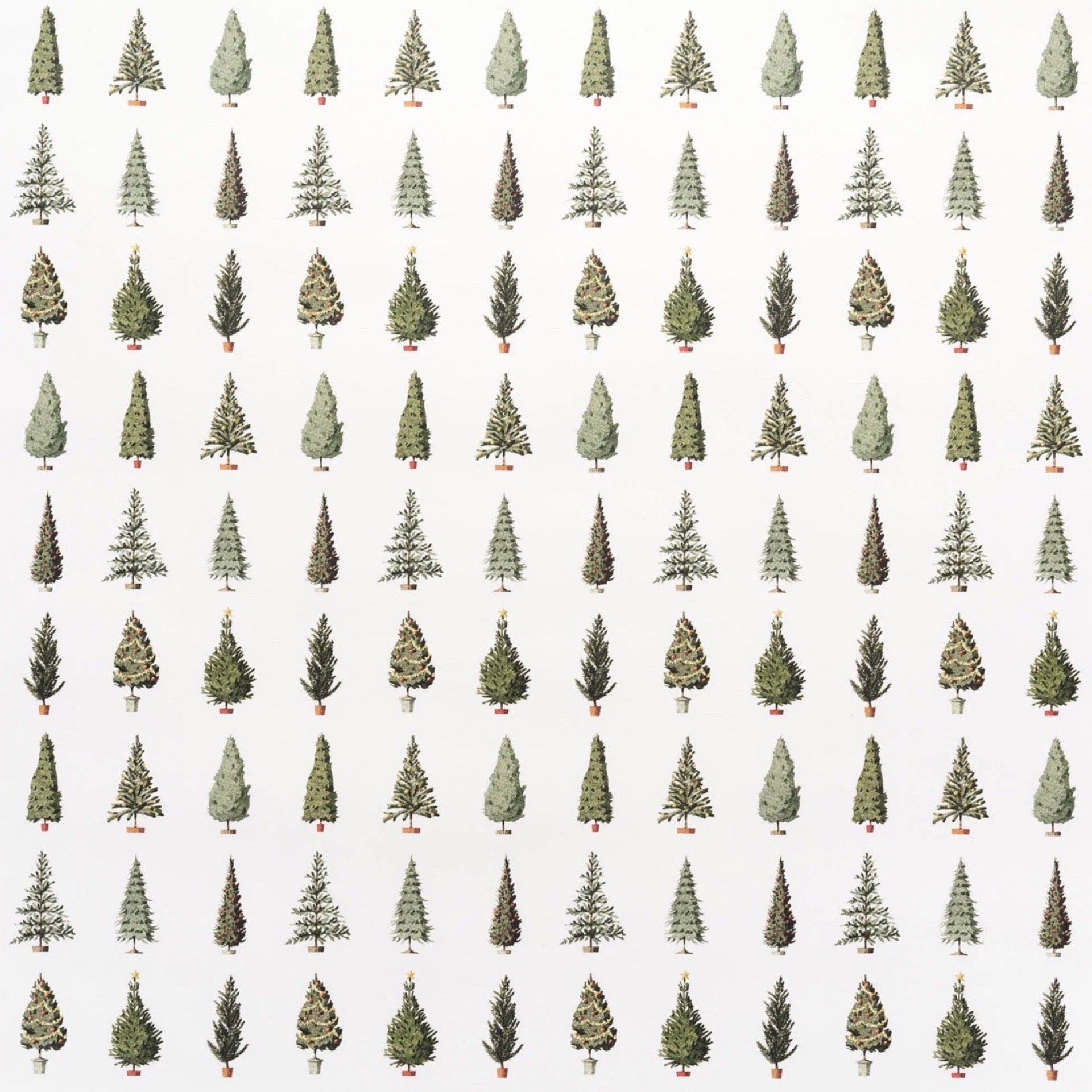 Pattern of small green Christmas trees on a white background.