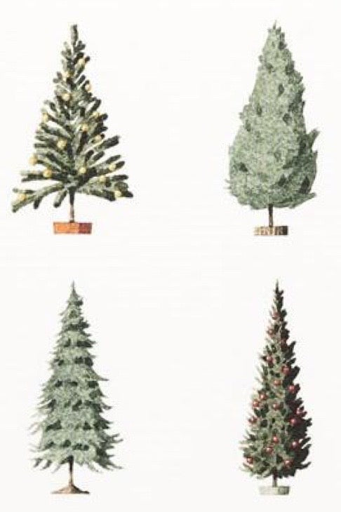 Close up of Christmas tree illustrations on a white background.