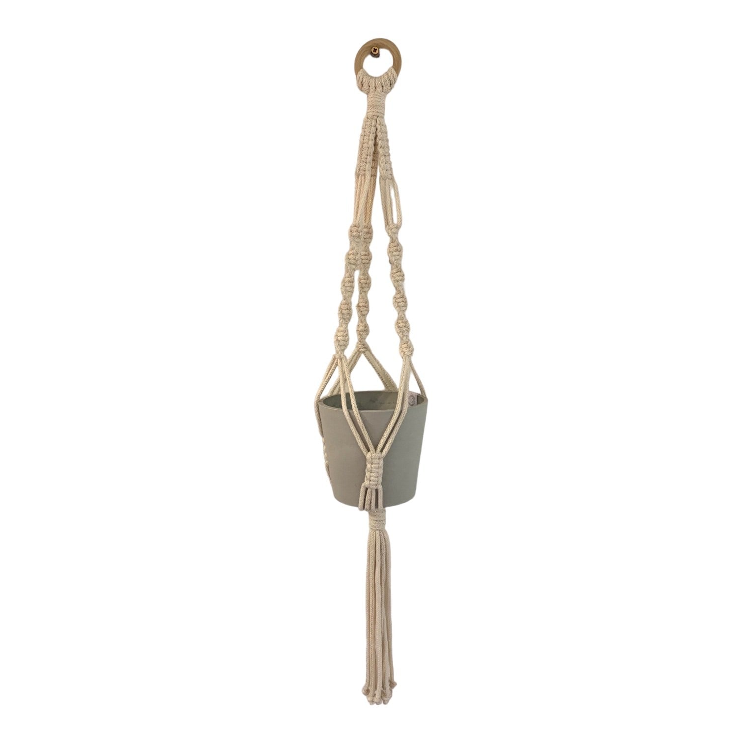 Handmade classic macrame plant hanger in recycled cotton and supplied with an Ecopot.