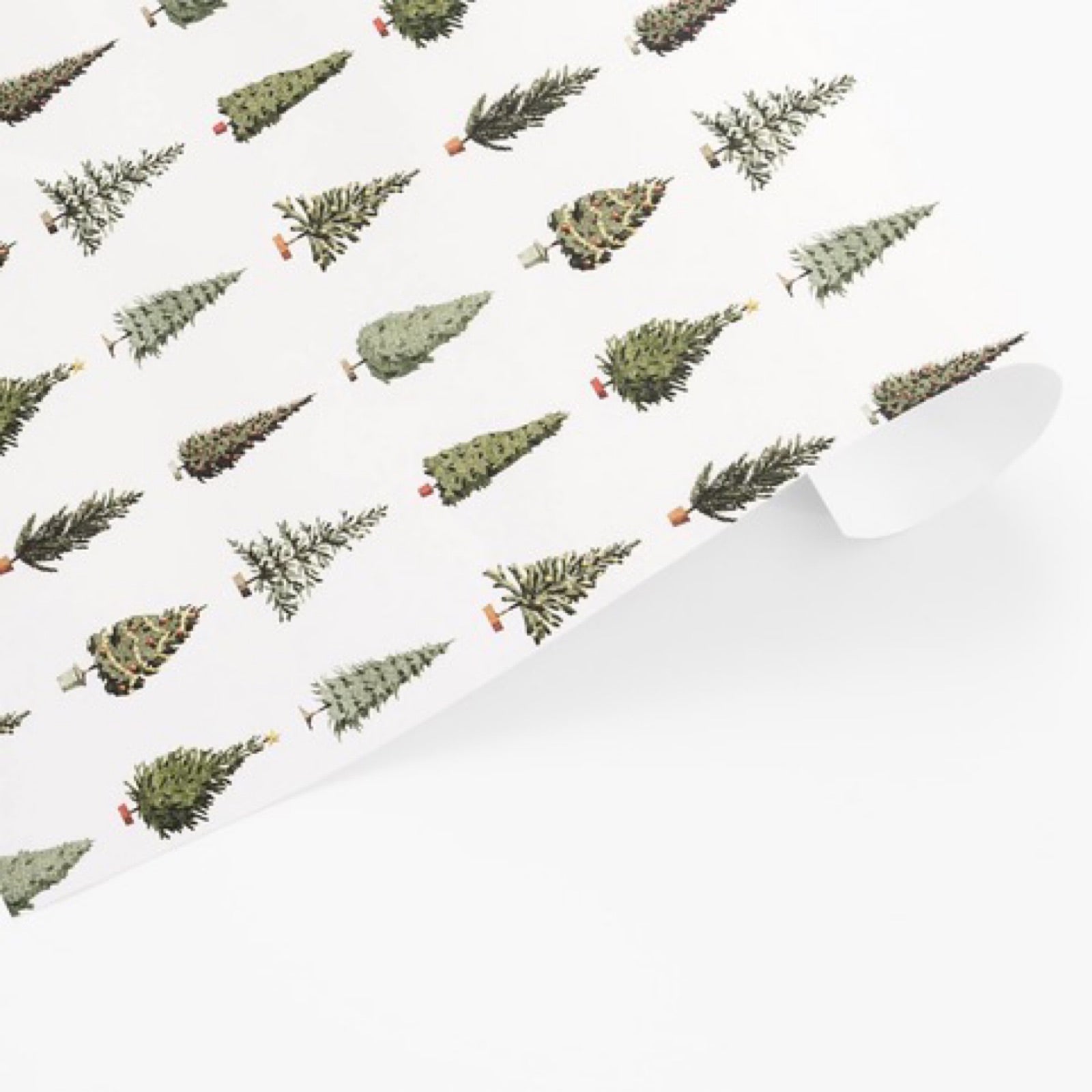 Close up of Christmas tree wrapping paper.