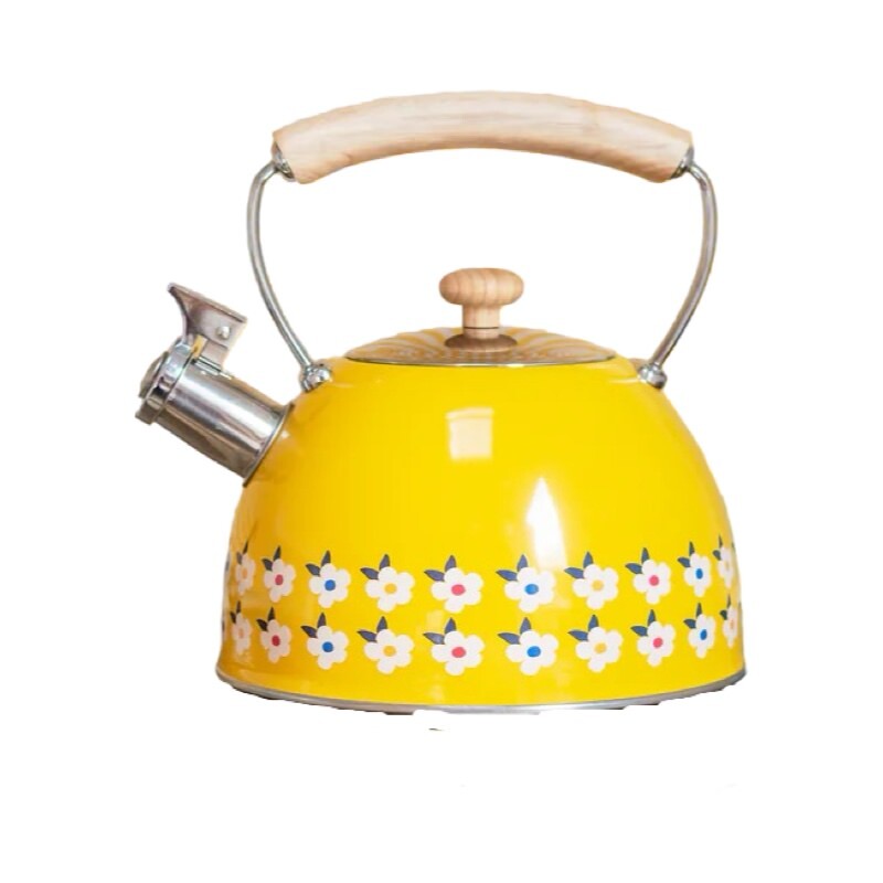 This beautiful stove top kettle has two rows of retro style daisies around the base.