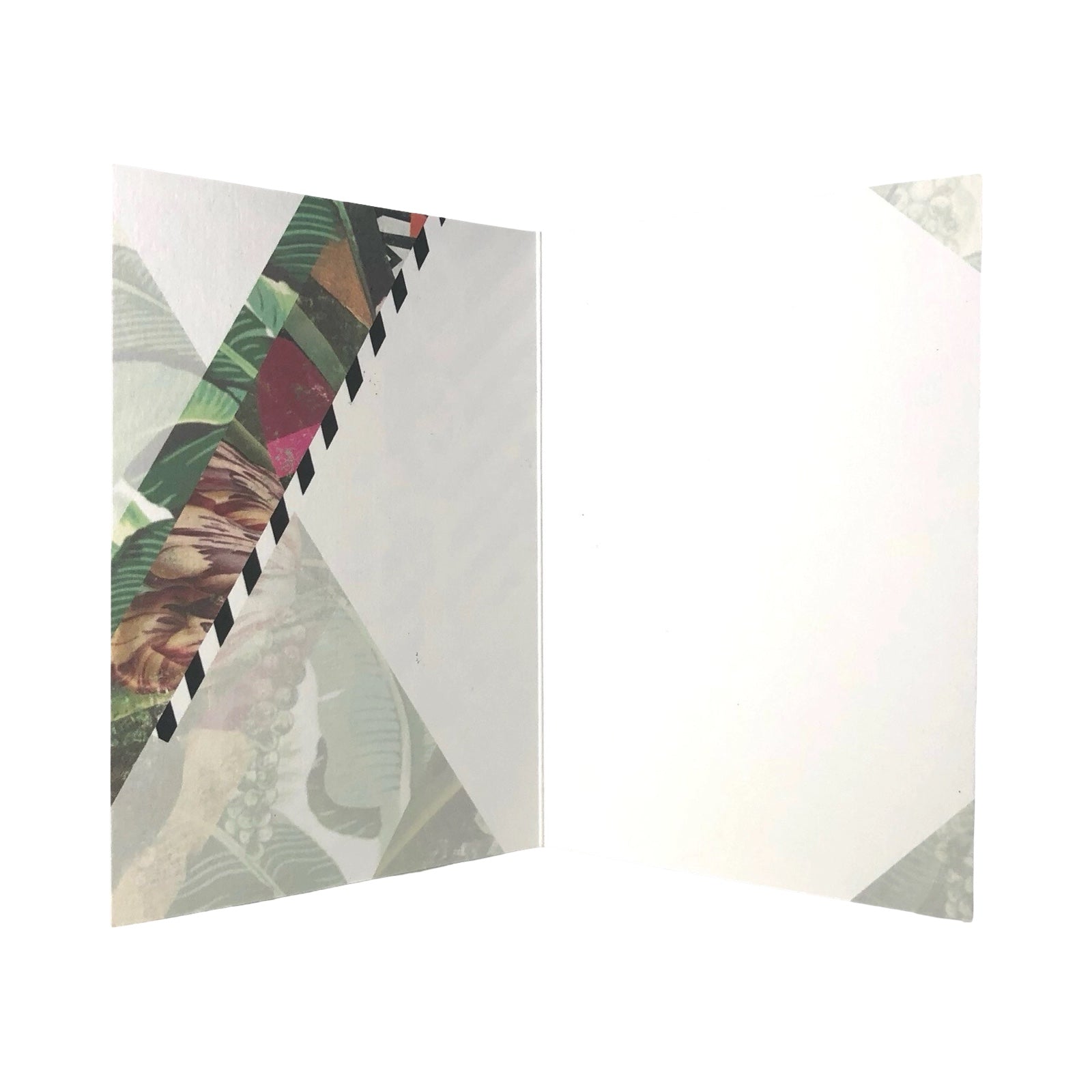 Congratulations Abstract Botanical Card