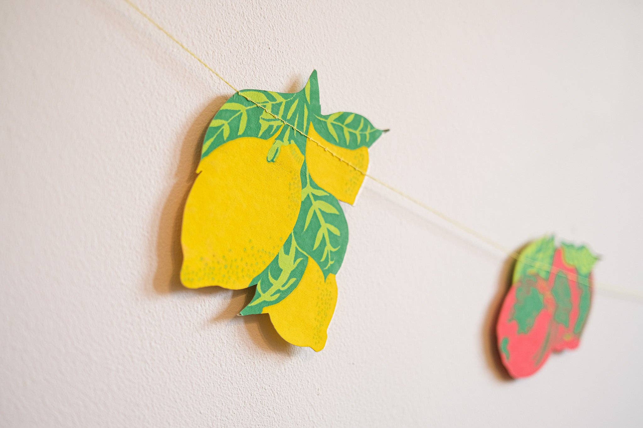 Fruit Paper Garland