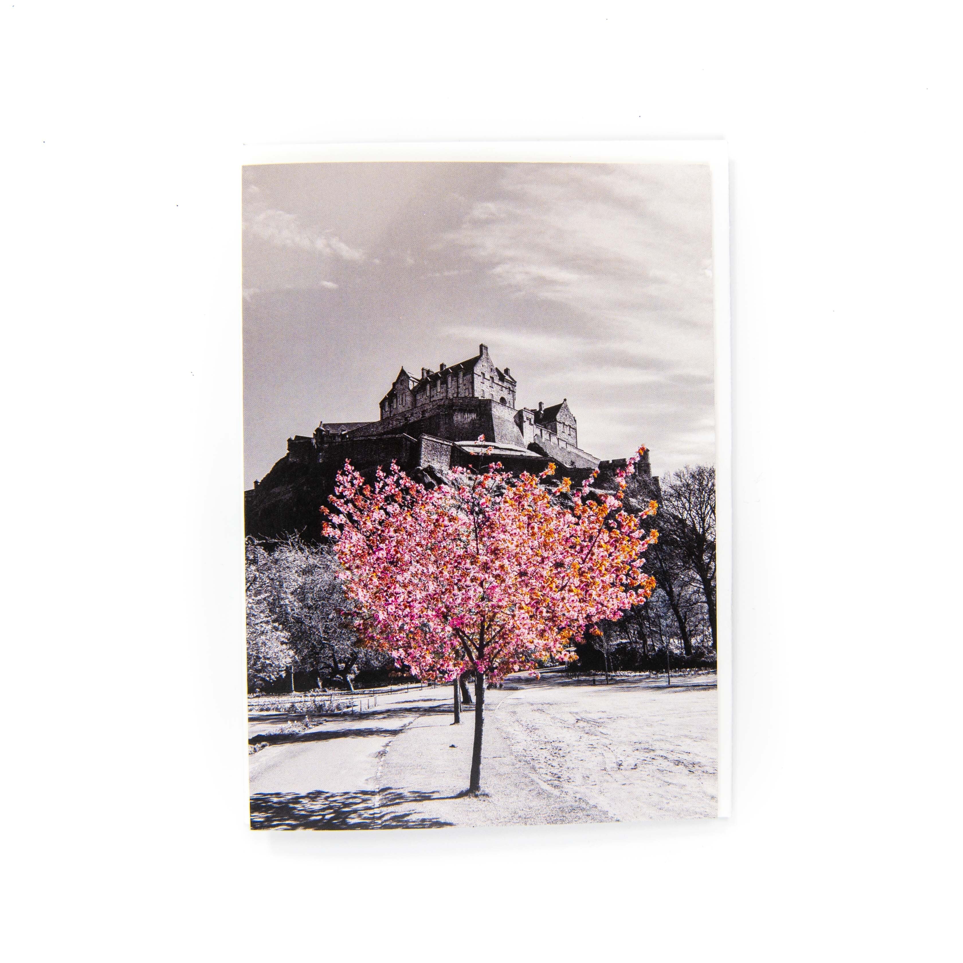 An A6 greeting card featuring a photograph of a cherry tree in blossom with Edinburgh Castle in the background. The card is blank inside and comes with a white envelope.