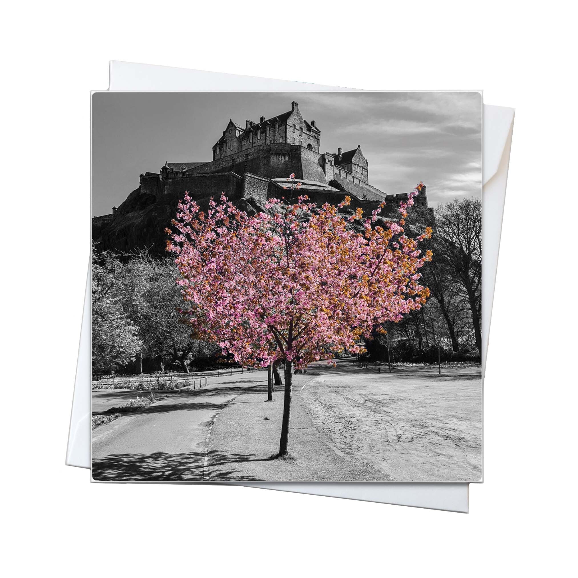 An image of Edinburgh Castle and a tree in pink blossom on a square card.