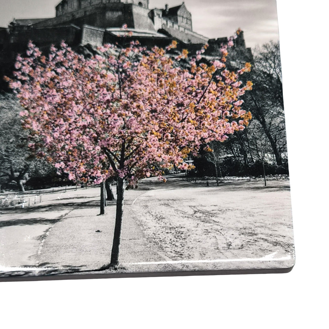 A close up of a tree full of blossom on a ceramic coaster.