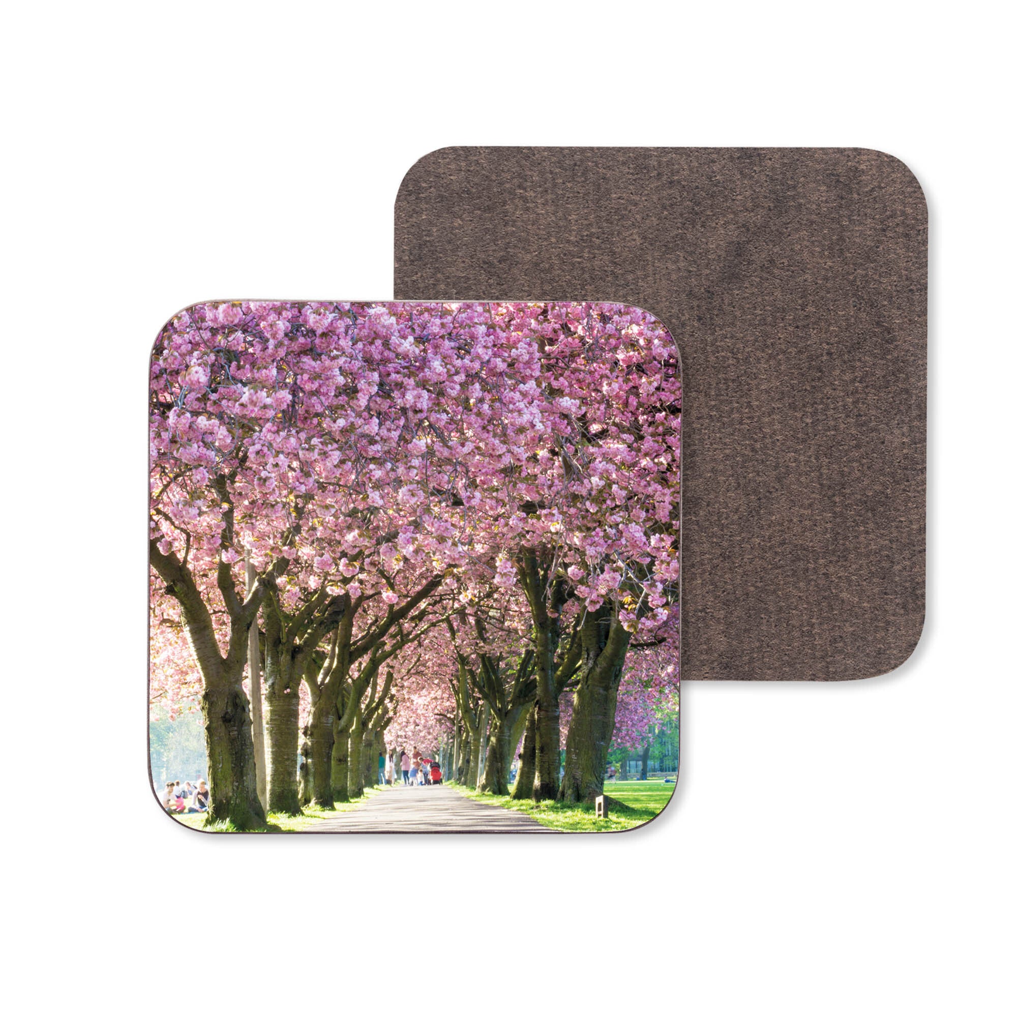 A path lined with trees with pink blossom on a coaster.