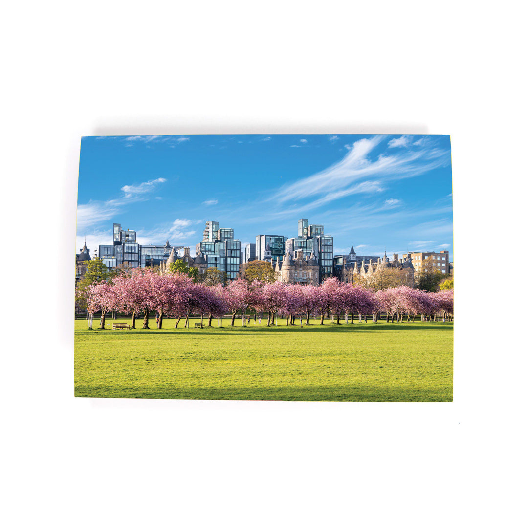 City skyline with cherry blossom trees in the foreground