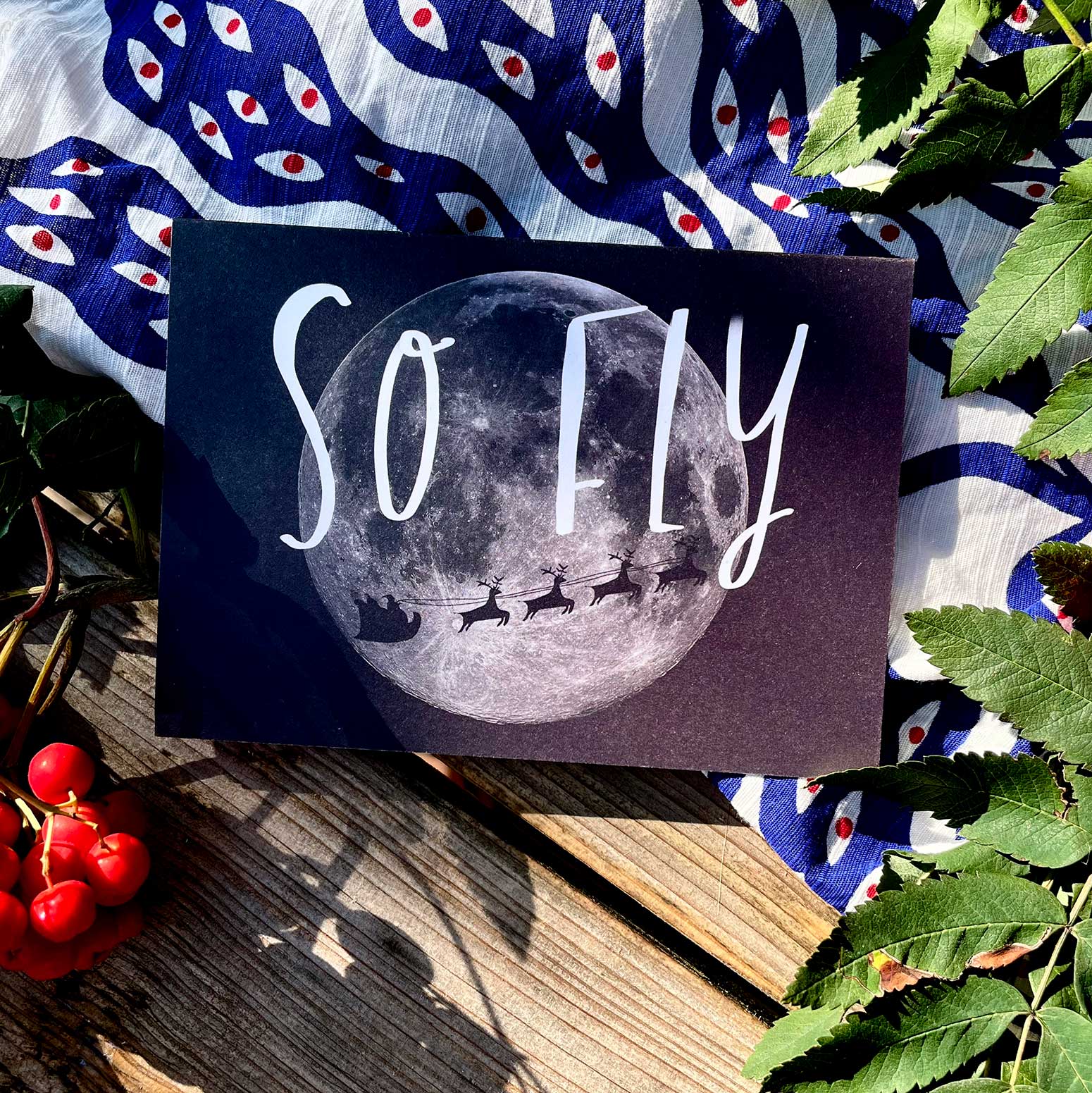 So Fly Christmas Card Pack