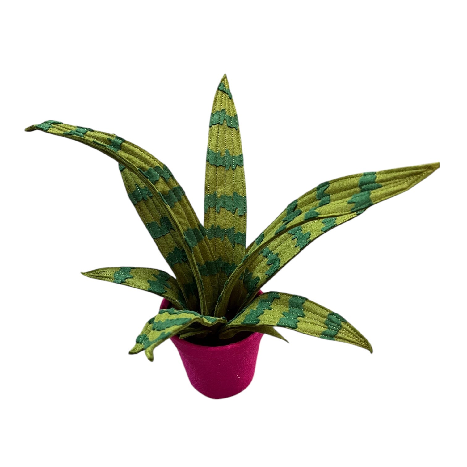 Photo of a felt snake plant