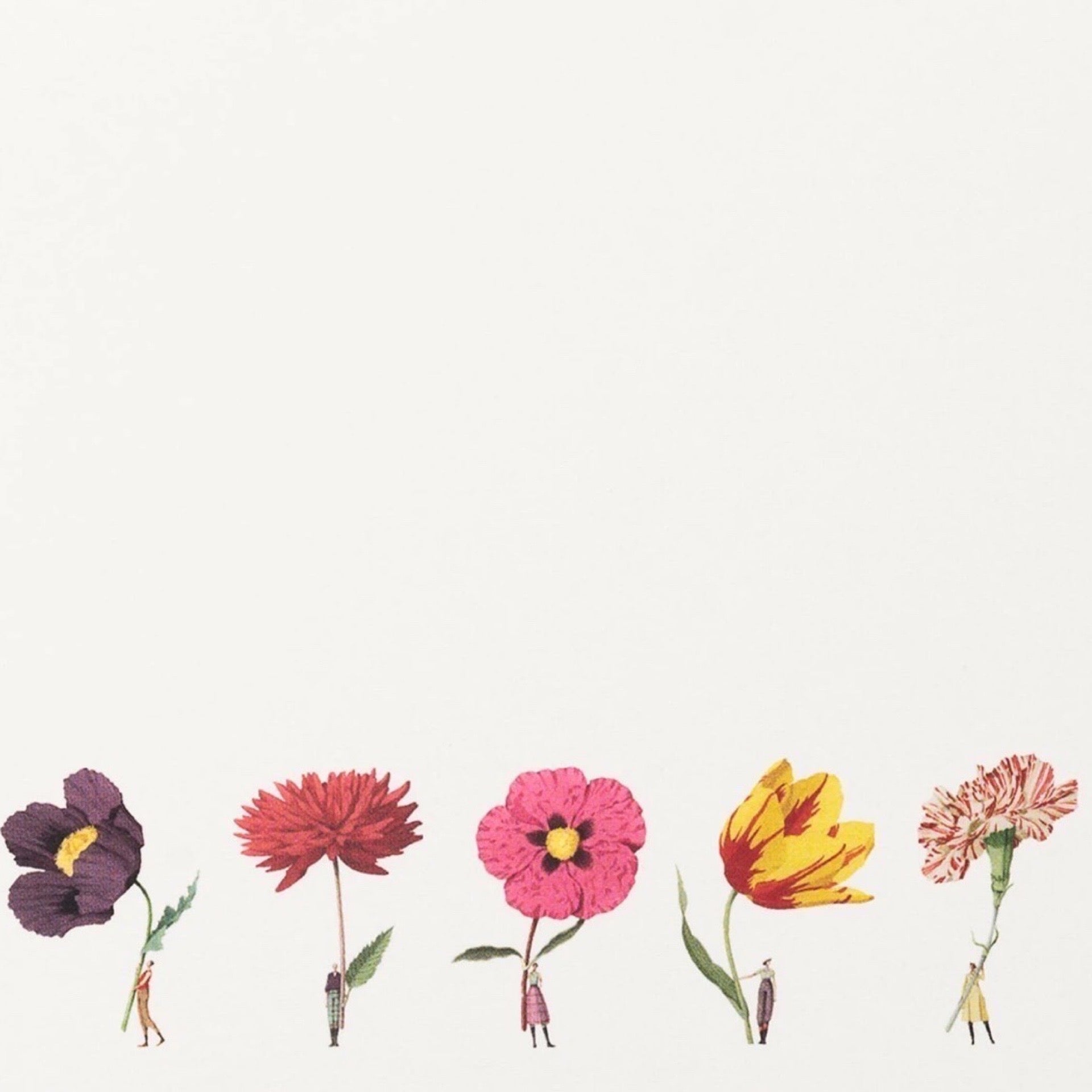 Illustrations of colourful flowers on a white background.