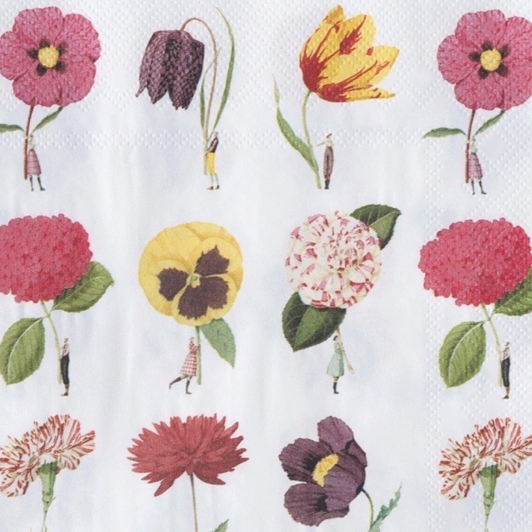 Pattern of flowers on a white background.