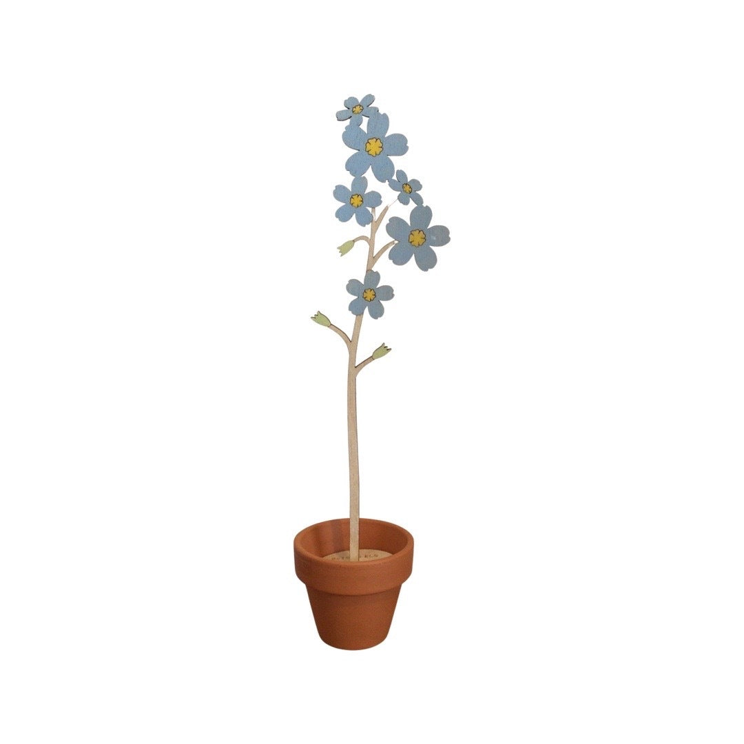 Single forget-me-not wooden stem with blue flowers in a terracotta pot.