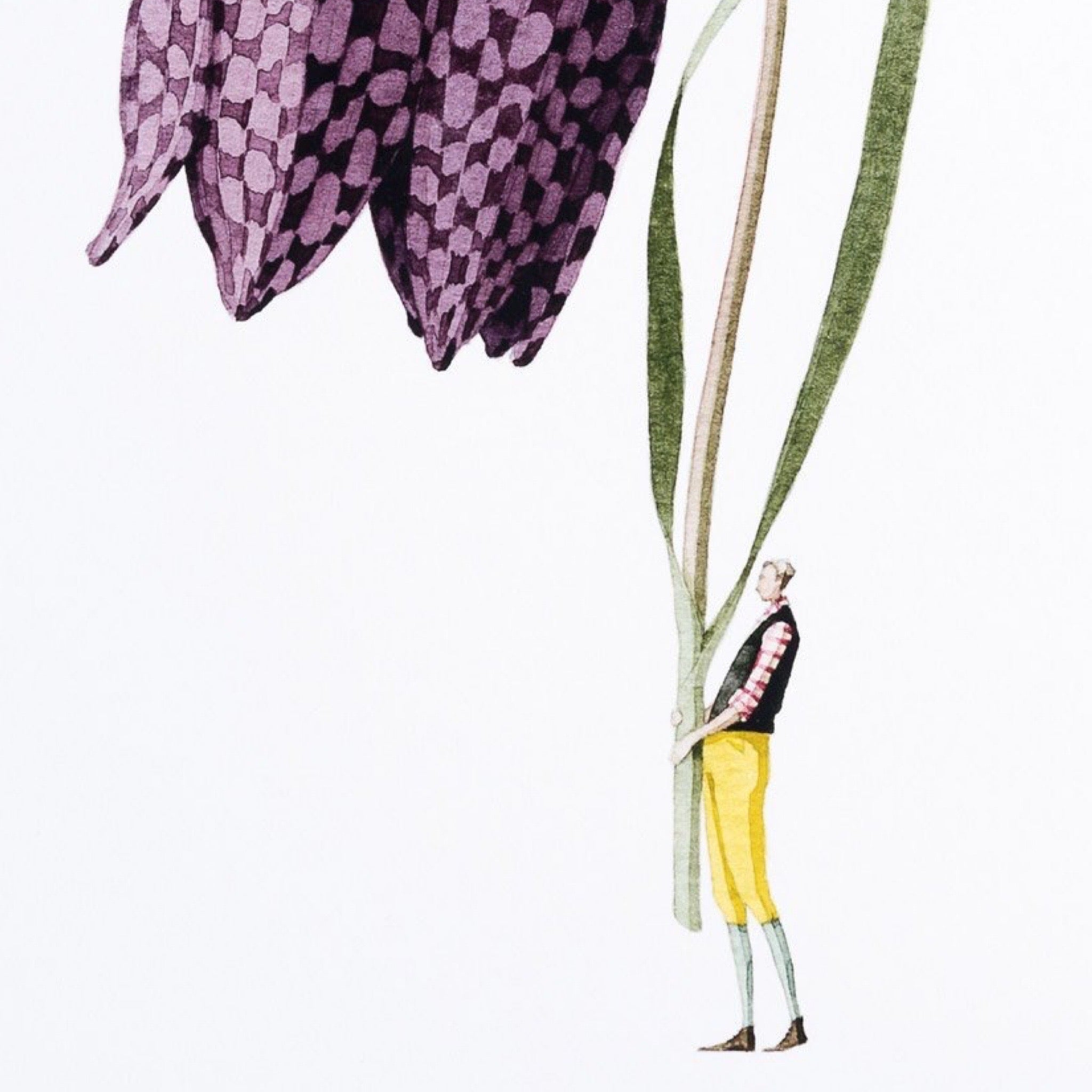 A floral print of a gorgeous giant fritillary flower being held by a man dressed in yellow trousers and a purple shirt.