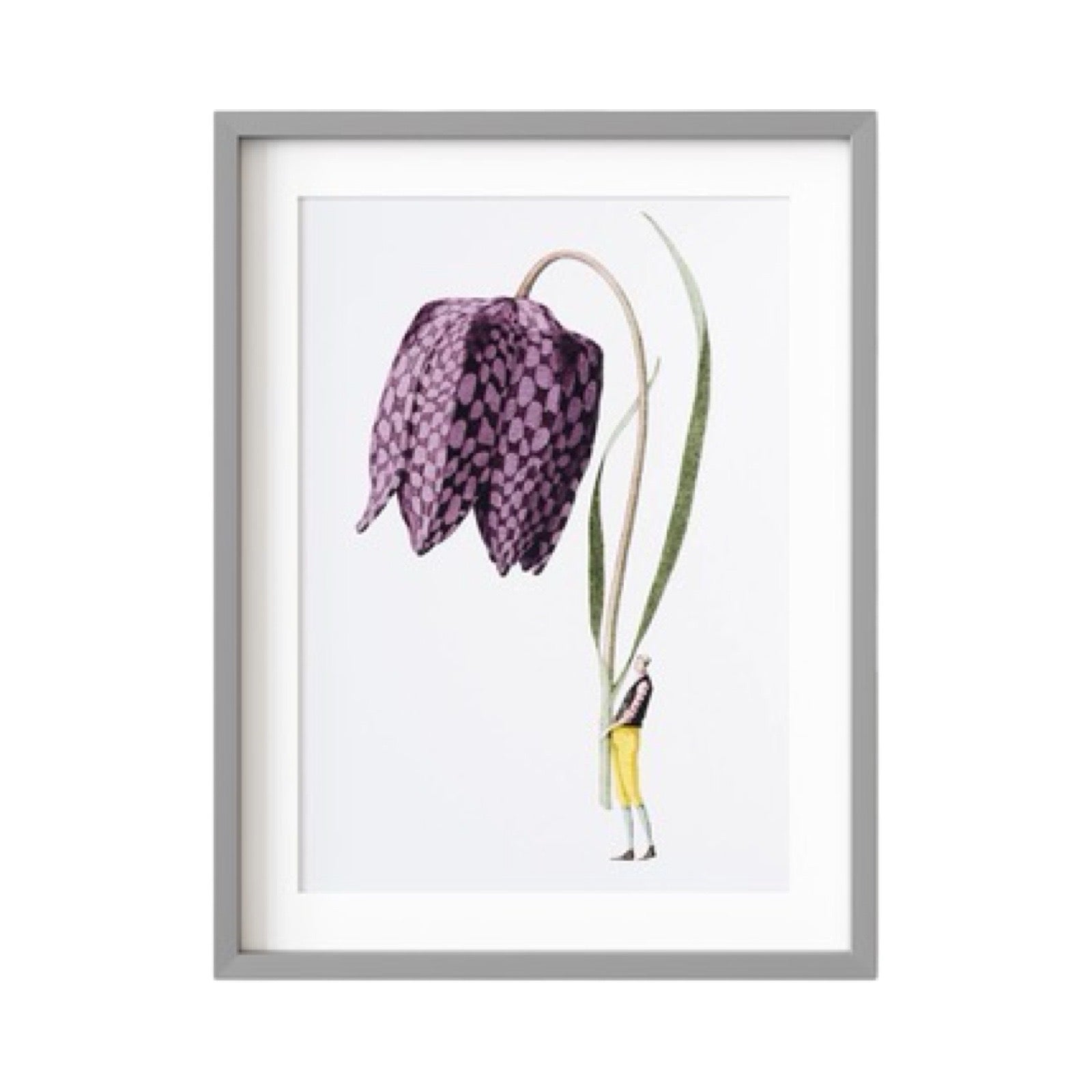 A floral print of a gorgeous giant fritillary flower being held by a man dressed in yellow trousers and a purple shirt.