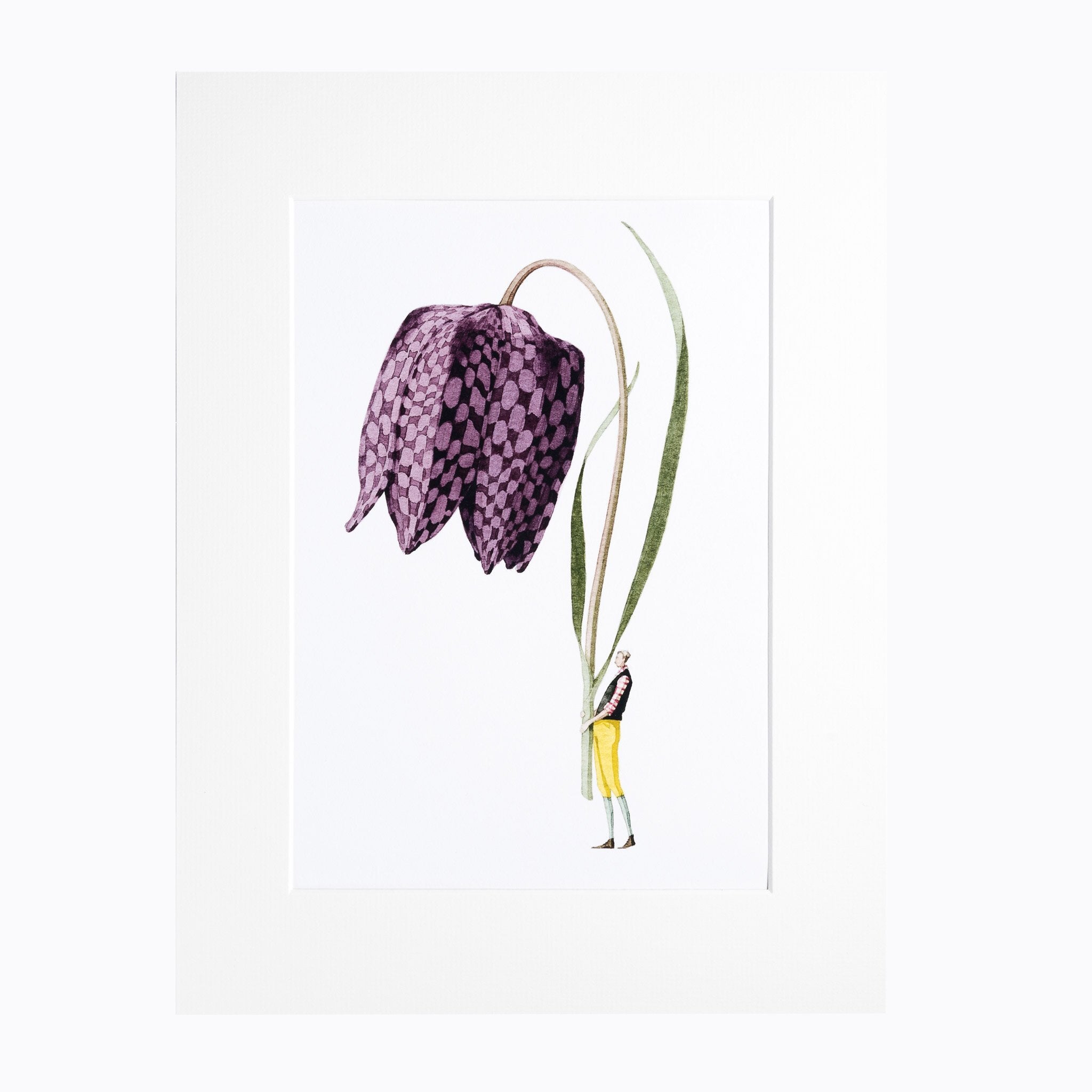 A floral print of a gorgeous giant fritillary flower being held by a man dressed in yellow trousers and a purple shirt.