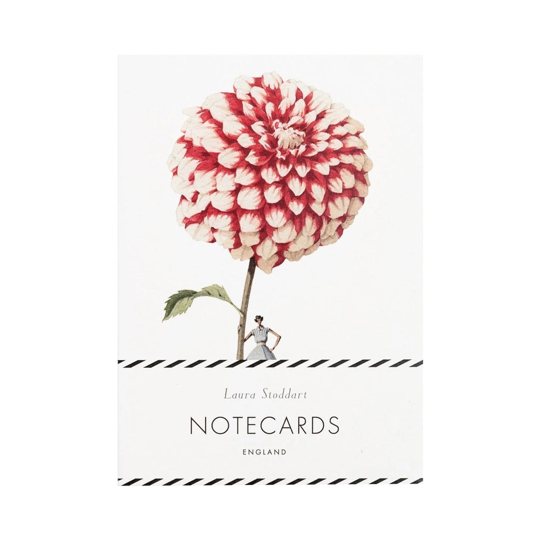 Front of the pack of dahlia notecards.