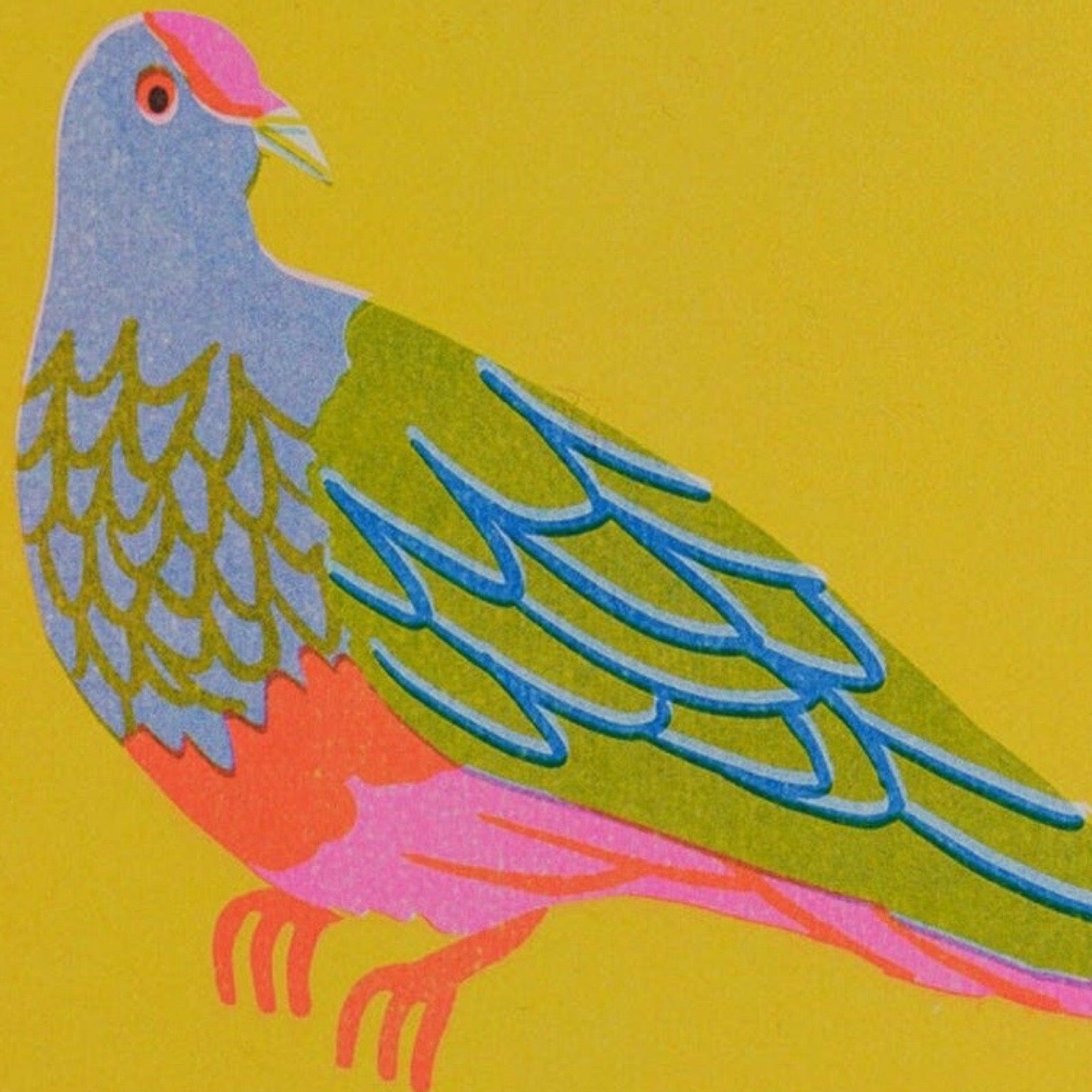 Colourful bird illustration on a yellow background.