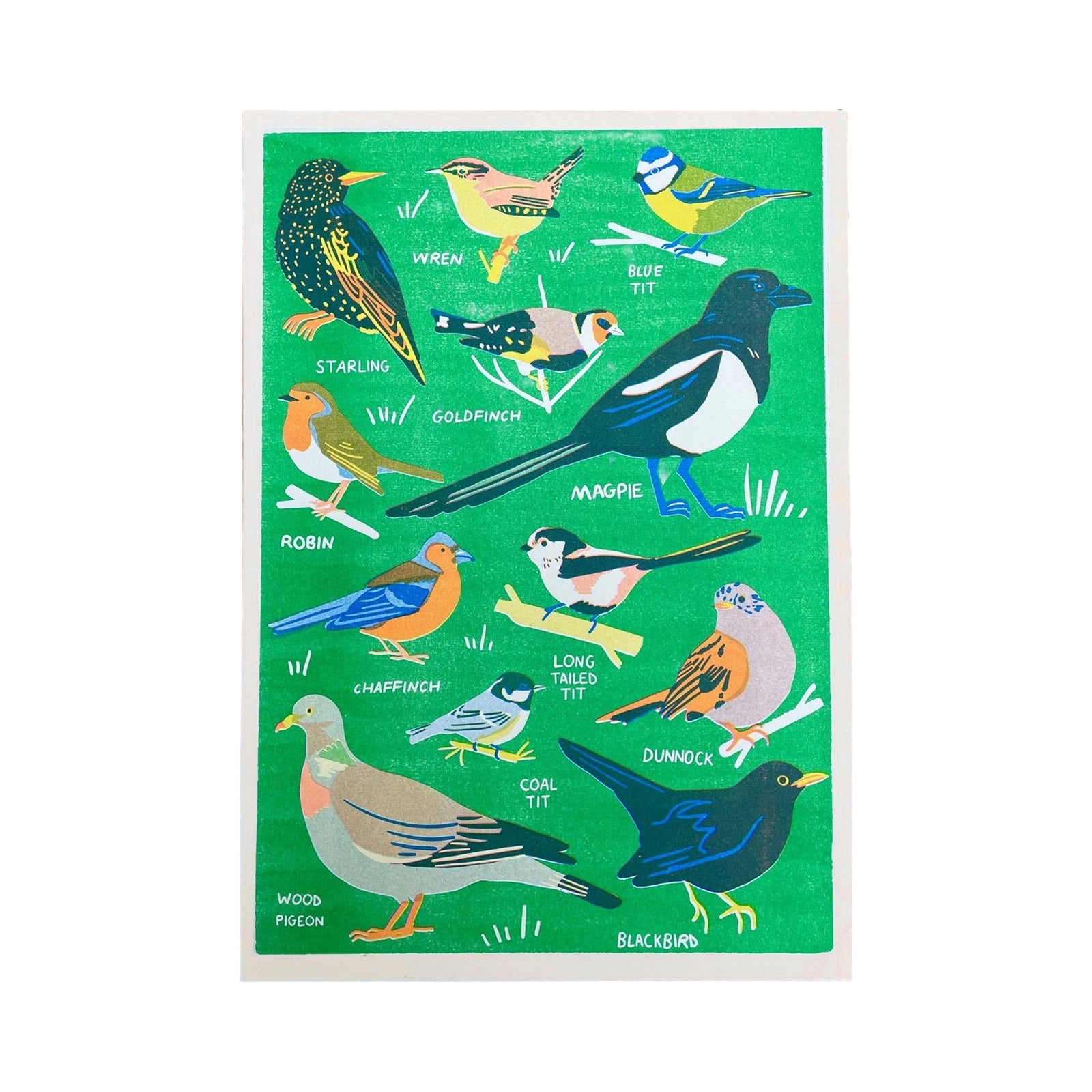 Illustration of various birds on a green background.