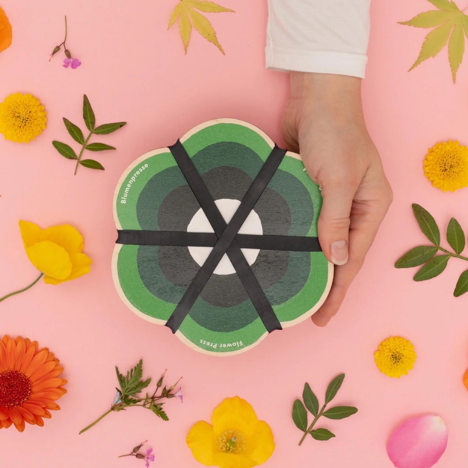 Hand holding a circular green flower press with black ribbons on a pink background with flowers and leaves.