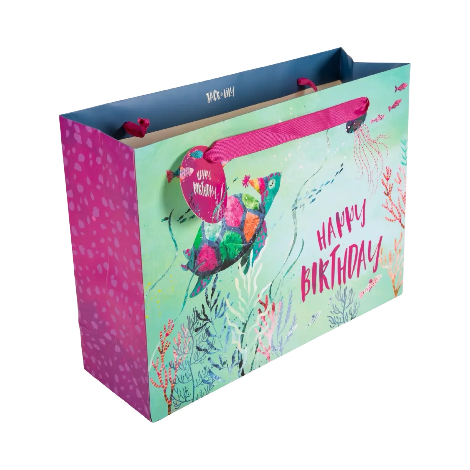 Happy Birthday Turtle Gift Bag