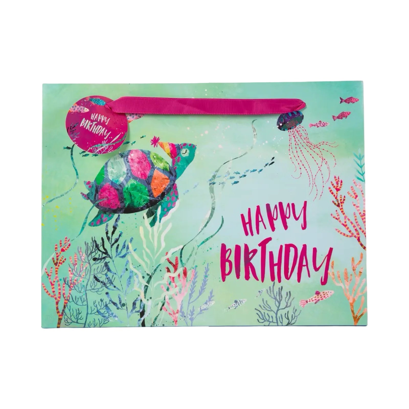 Happy Birthday Turtle Gift Bag