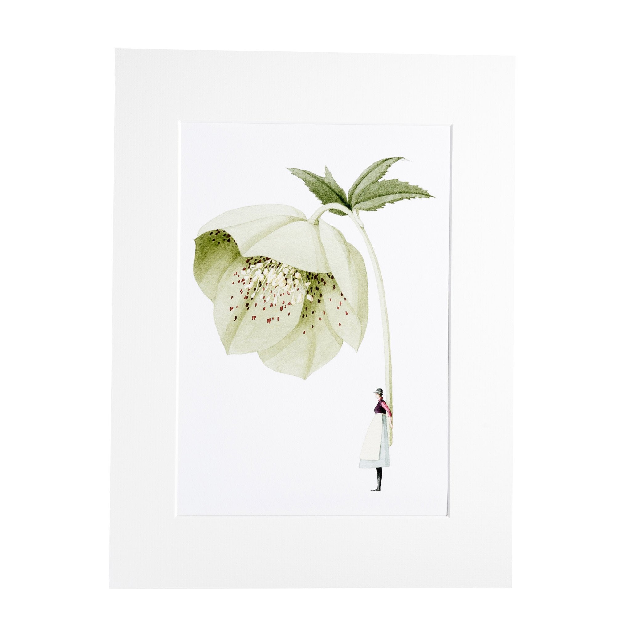 A floral print of a lady holding a gorgeous giant hellebore flower.