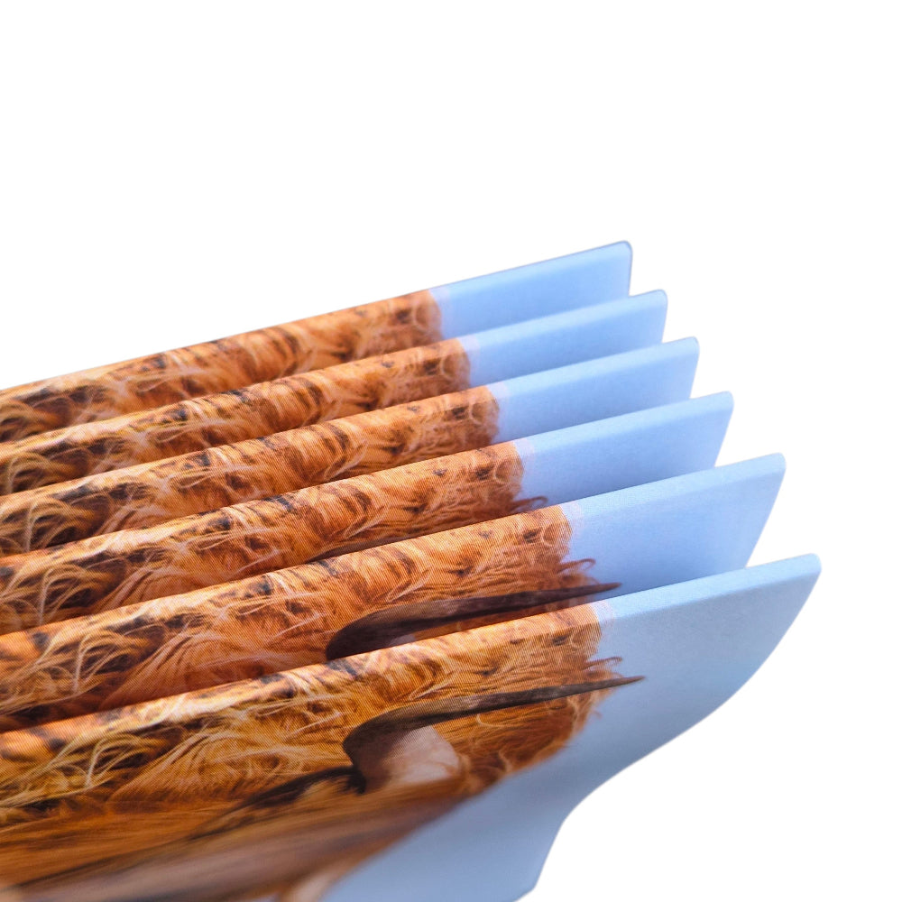 A close up of six cards against a white background.